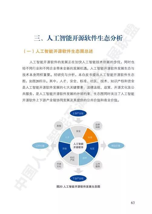 中国人工智能开源软件发展白皮书 人工智能应用软件开发的现状与未来